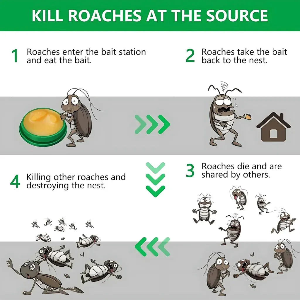Cockroach Killer Gel (Pack of 2)